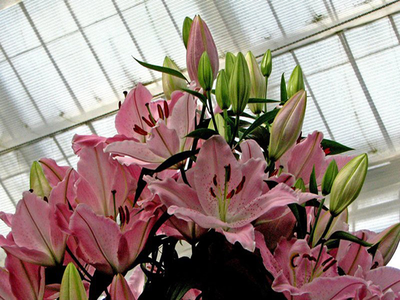 photo15.jpg