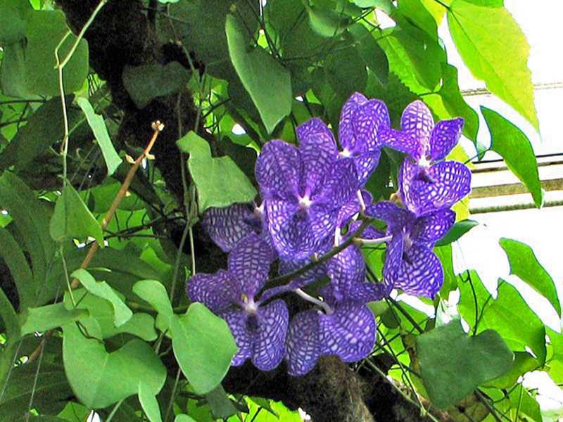 photo7.jpg