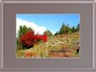 photo10_small.jpg