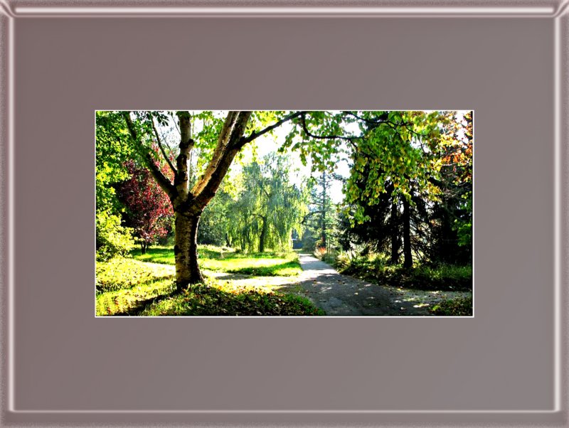 photo11.jpg