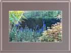 photo15_small.jpg