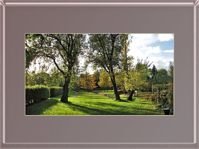 photo8.jpg